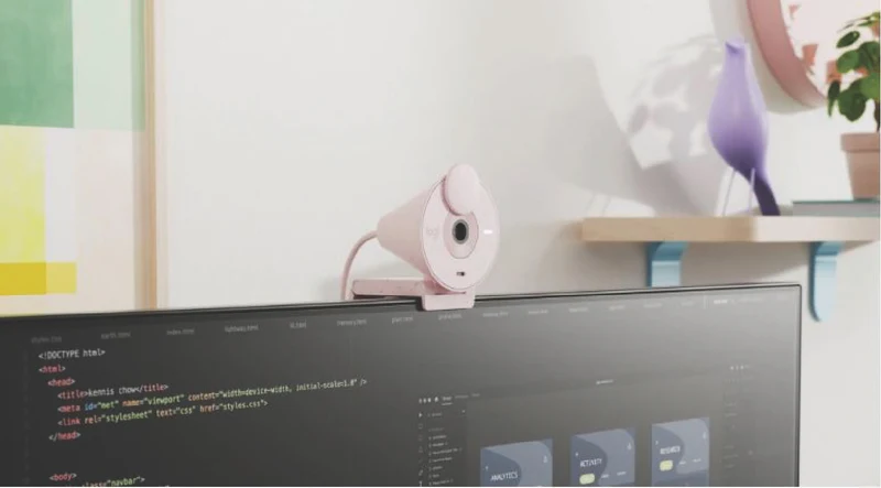 Logitech Brio 300 Full HD webcam (Rose)