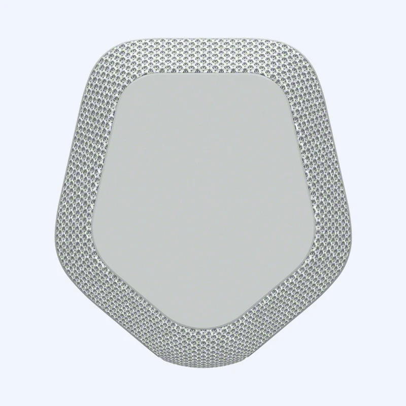 Haut-parleur sans fil portable Sony SRS-XE300 série X