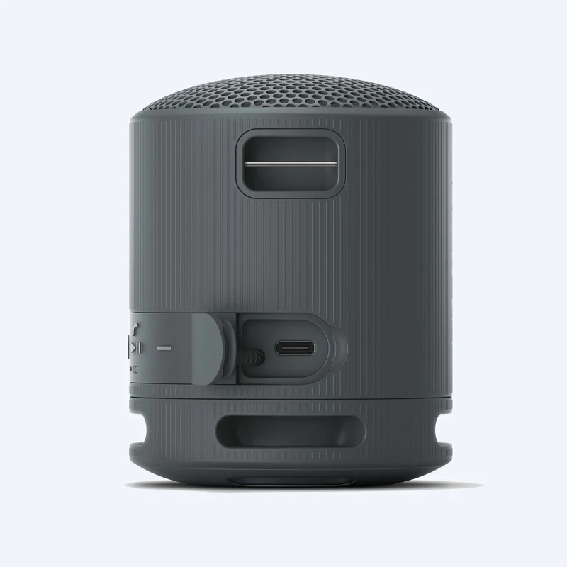 Haut-parleur sans fil portable Sony SRS-XB100