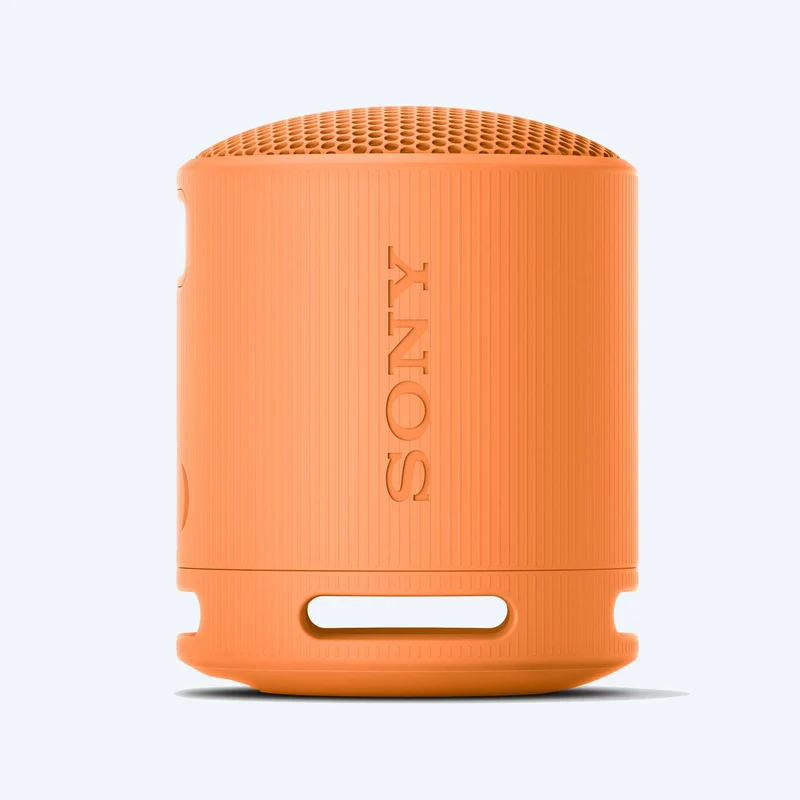 Haut-parleur sans fil portable Sony SRS-XB100