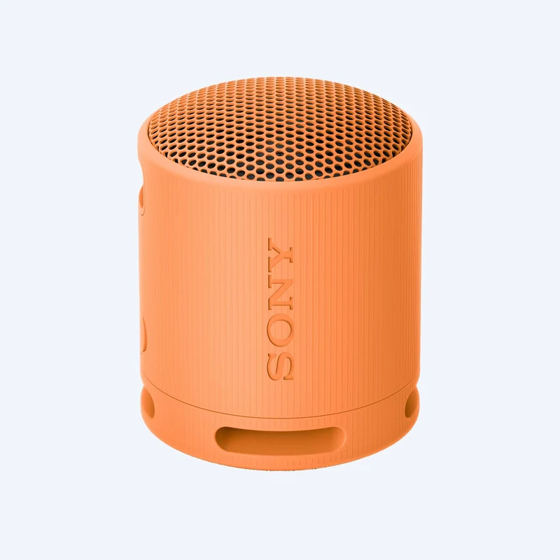 Haut-parleur sans fil portable Sony SRS-XB100