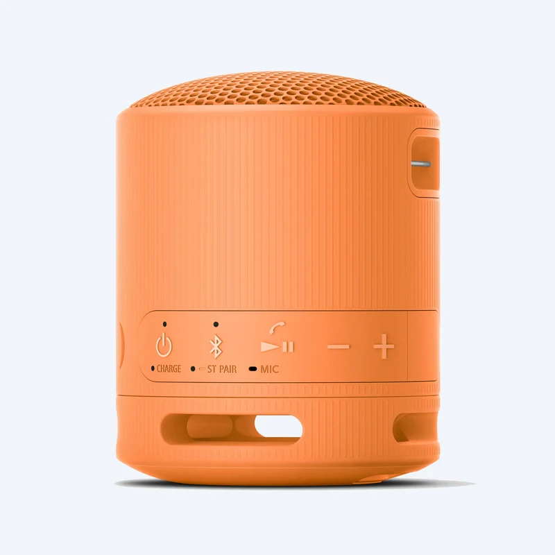 Haut-parleur sans fil portable Sony SRS-XB100