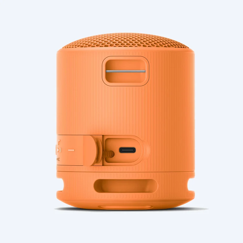 Haut-parleur sans fil portable Sony SRS-XB100