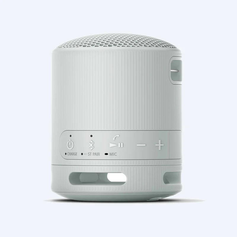 Haut-parleur sans fil portable Sony SRS-XB100