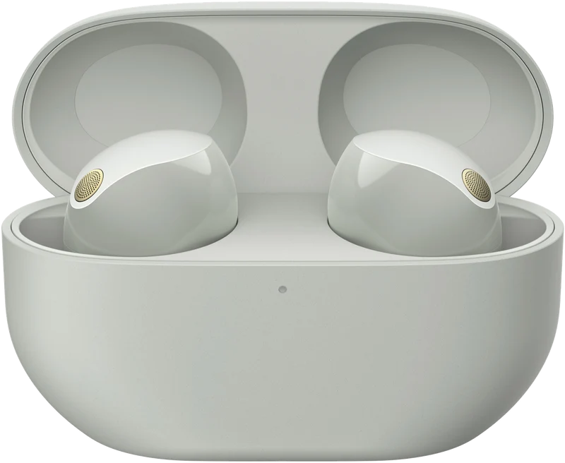 Sony WF-1000XM5 Noise Cancelling Earbuds - Silver