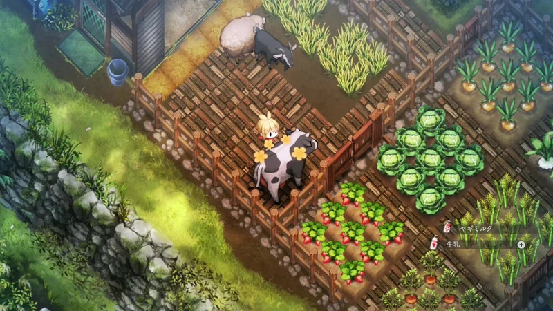 Nintendo Switch 2 Village in the Shade Deluxe Edition