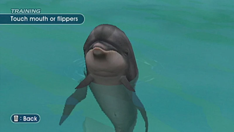 Endless Ocean – Nintendo Wii Underwater Exploration Game