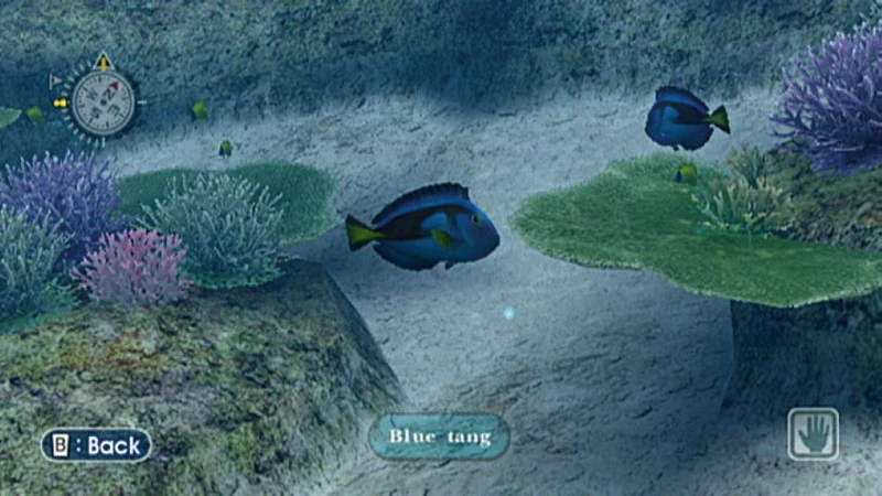 Endless Ocean – Nintendo Wii Underwater Exploration Game