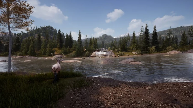 Hunting Simulator 2 (PS5)
