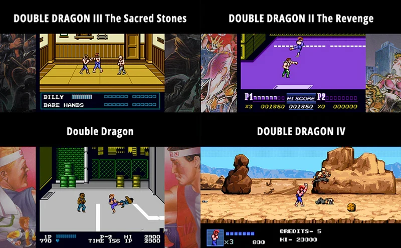Double Dragon Collection - Collector's Edition Nintendo Switch Edizione Europea