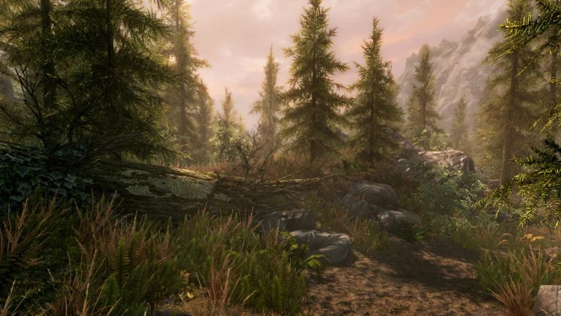 The Elder Scrolls V: Skyrim Special Edition – PlayStation 4 RPG Game