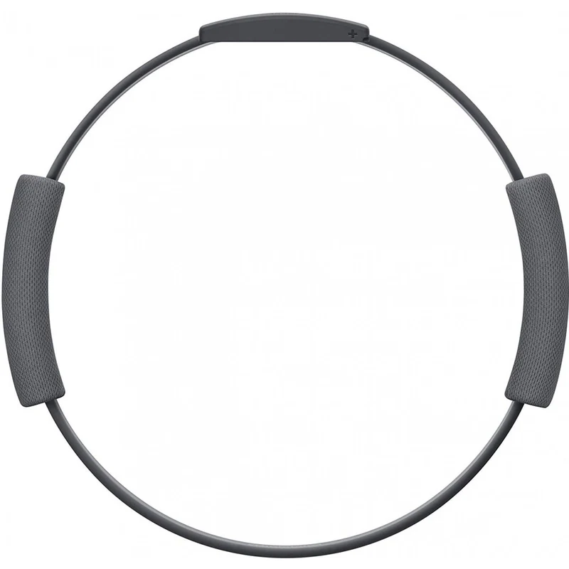 Nintendo Switch Ring Fit Adventure