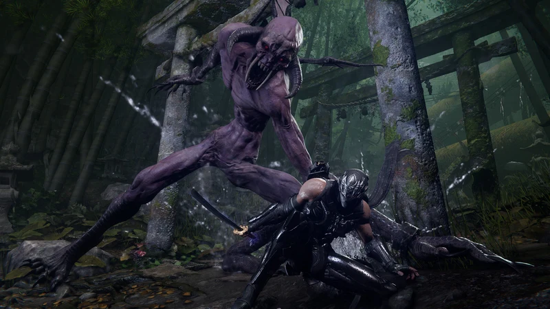 PS5 Ninja Gaiden 4