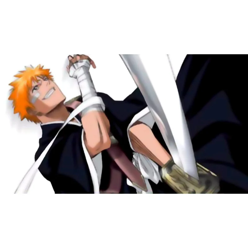 Bleach: Heat the Soul