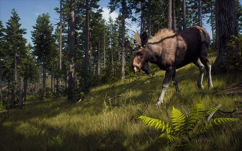 Way Of The Hunter Xbox Serie X