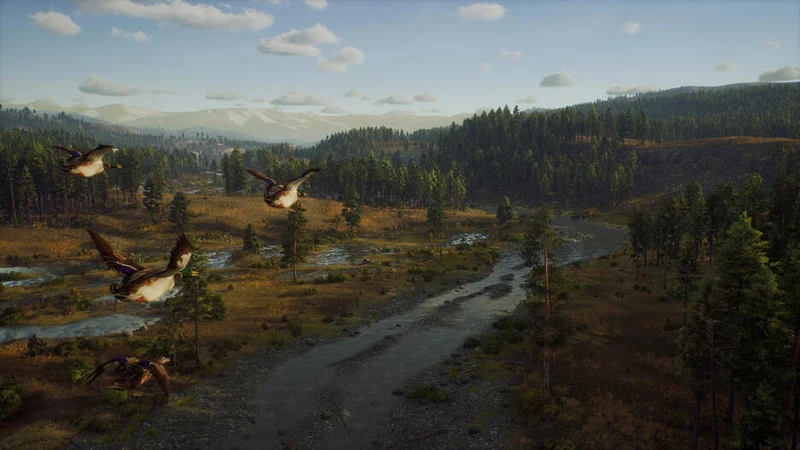 Way Of The Hunter Xbox Serie X