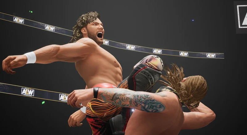 AEW: Fight Forever Nintendo Switch