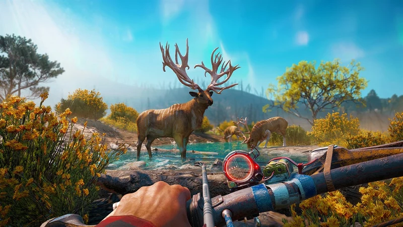 Far Cry: New Dawn