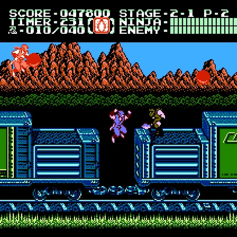 Ninja Gaiden II: The Dark Sword of Chaos