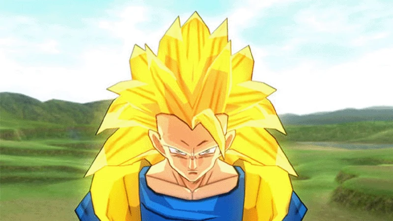 Dragon Ball Z Sparking! NEO
