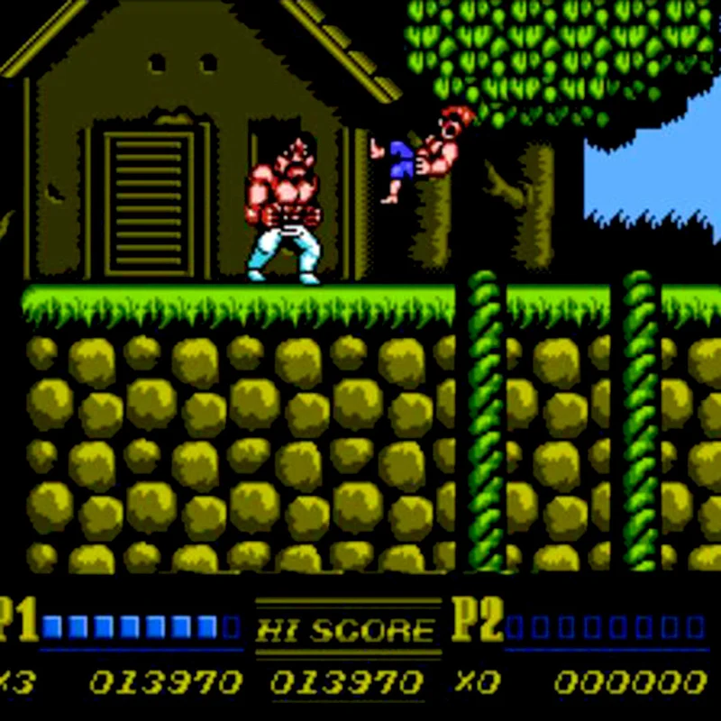 Double Dragon II: The Revenge