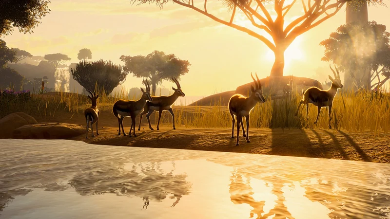 Planet Zoo: Deluxe Edition