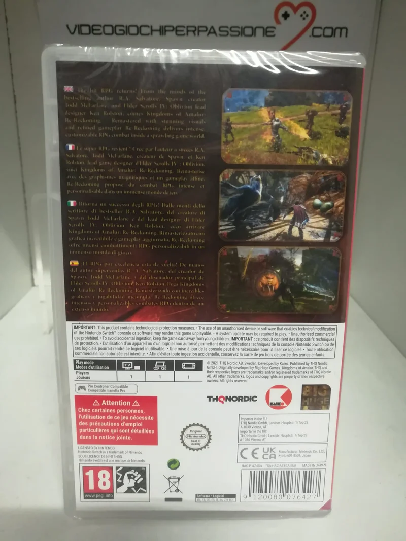 Kingdoms of Amalur Re-Reckoning Nintendo Switch Edizione Europea