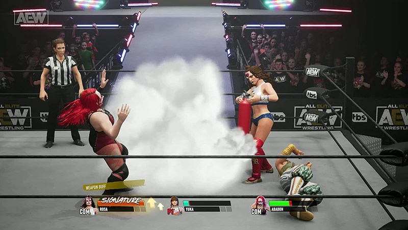 PS5 AEW: Fight Forever