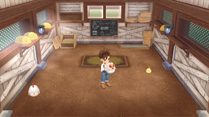 Nintendo Switch Story of Seasons: A Wonderful Life
