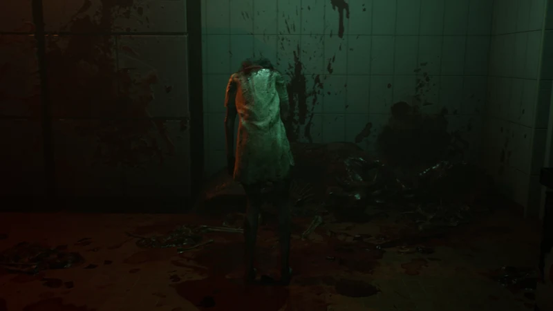 The Bridge Curse 2: The Extrication Nintendo Switch Edizione Europea
