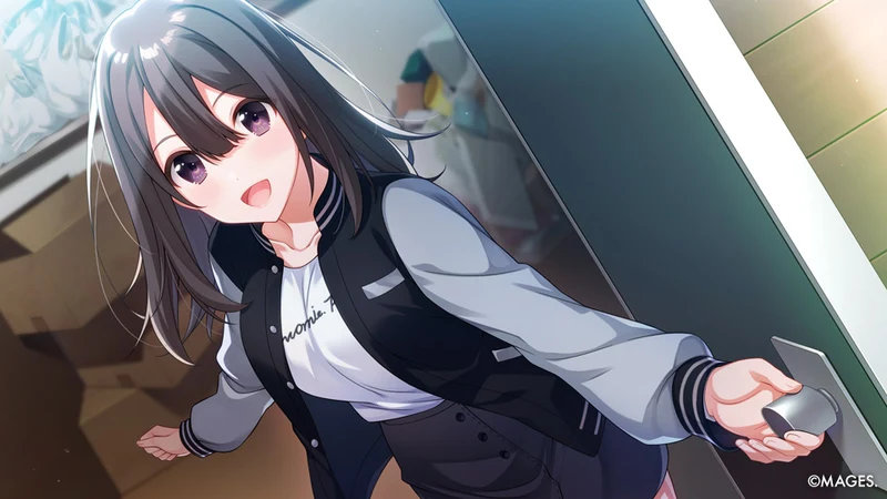 SINce Memories: Off The Starry Sky Nintendo Switch Edizione Europea
