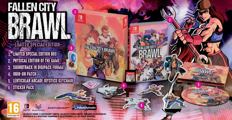 Fallen City Brawl Limited Edition Nintendo Switch Edizione Europea [Pre-ordine]