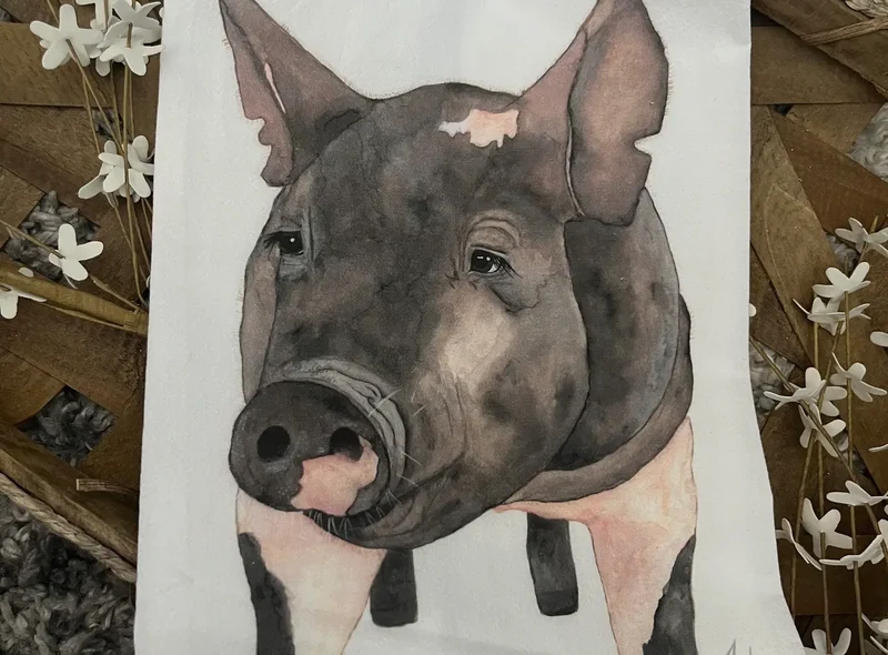 Livestock Tea Towels