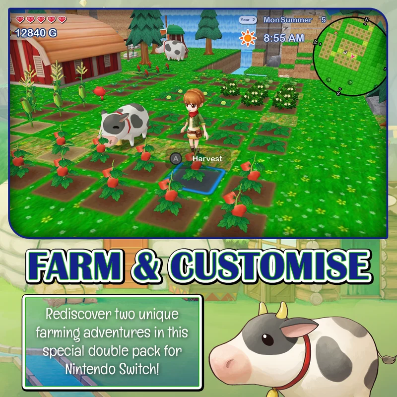 Harvest Moon: The Lost Valley & Skytree Village Double Pack Nintendo Switch