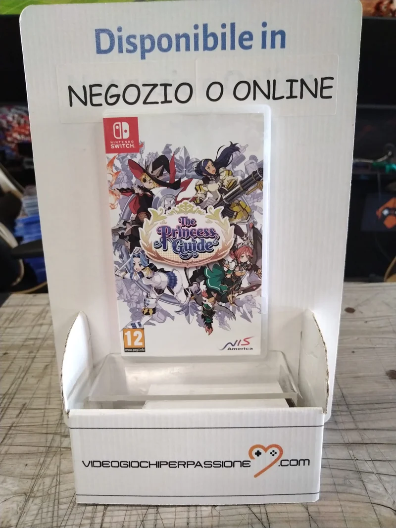 THE PRINCESS GUIDE NINTENDO SWITCH EDIZIONE REGNO UNITO