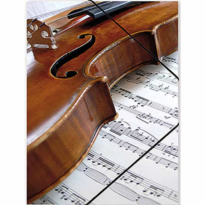 Vienna World Music Folder (Music/Violin) (Black)