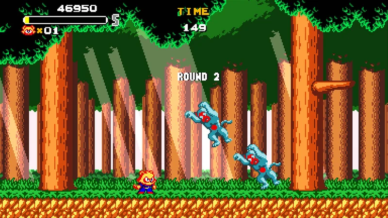 Nintendo Switch Tanuki Justice