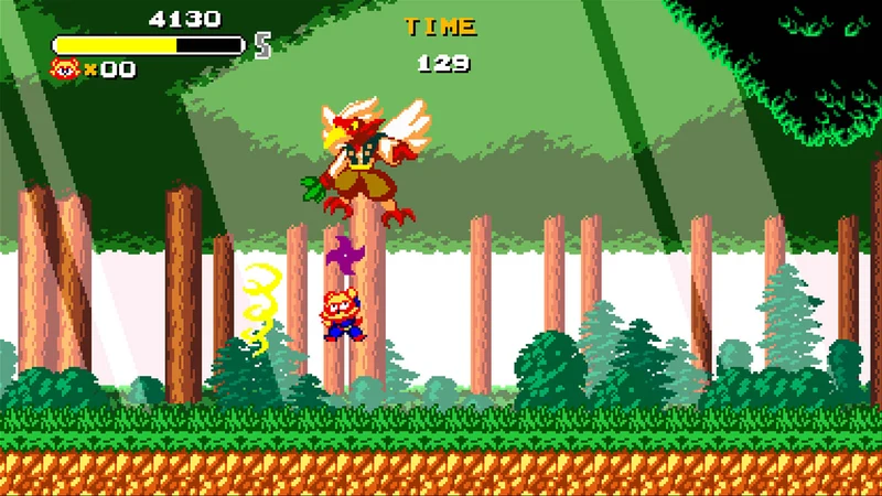 Nintendo Switch Tanuki Justice