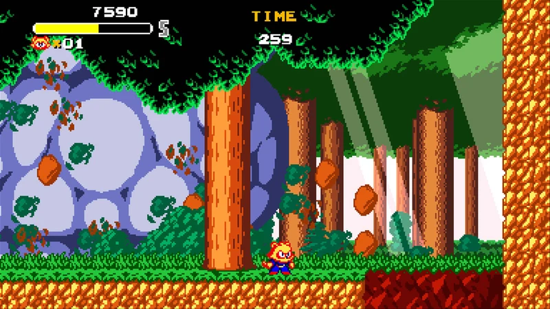 Nintendo Switch Tanuki Justice