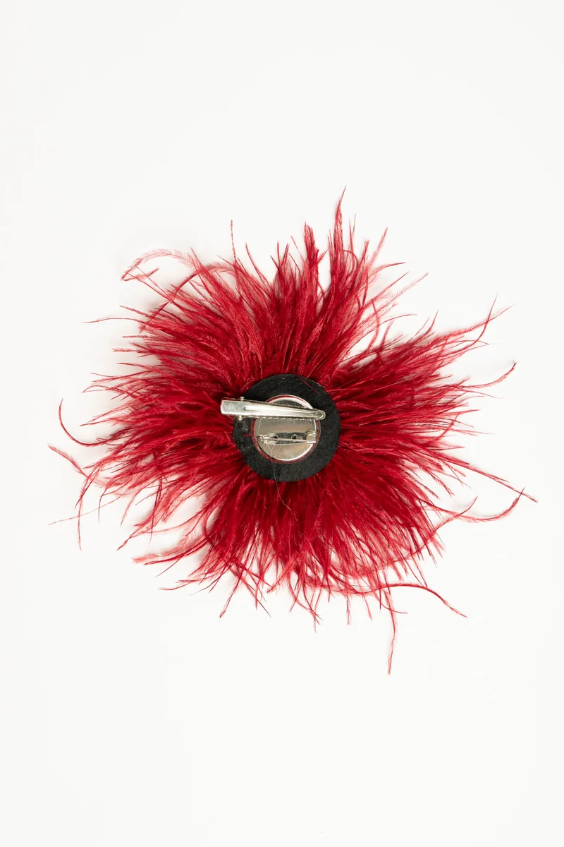 Spilla con piume rosse