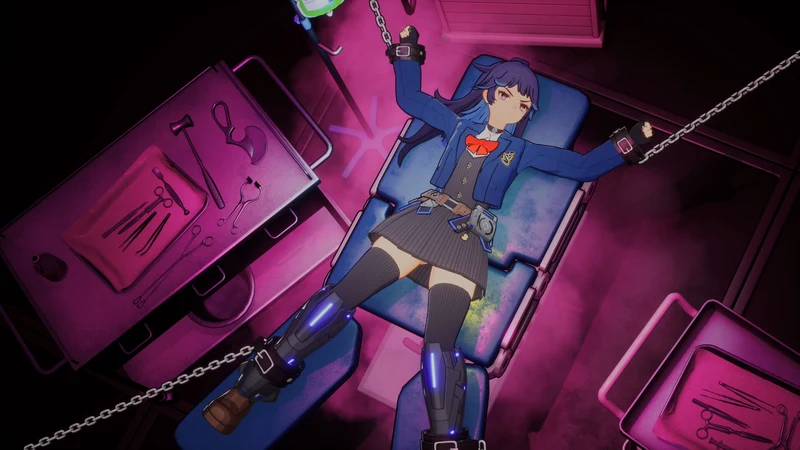 Nintendo Switch 2 Full Metal Schoolgirl