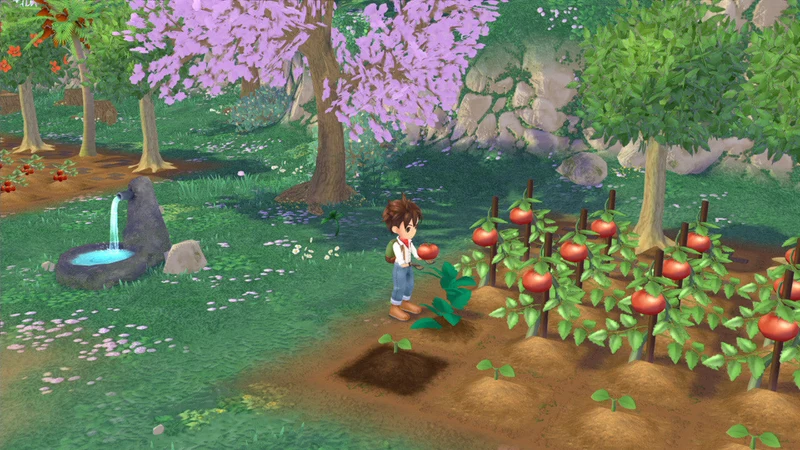 PS5 Story of Seasons: A Wonderful Life (English)