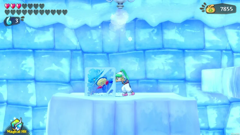Nintendo Switch Wonder Boy: Asha in Monster World