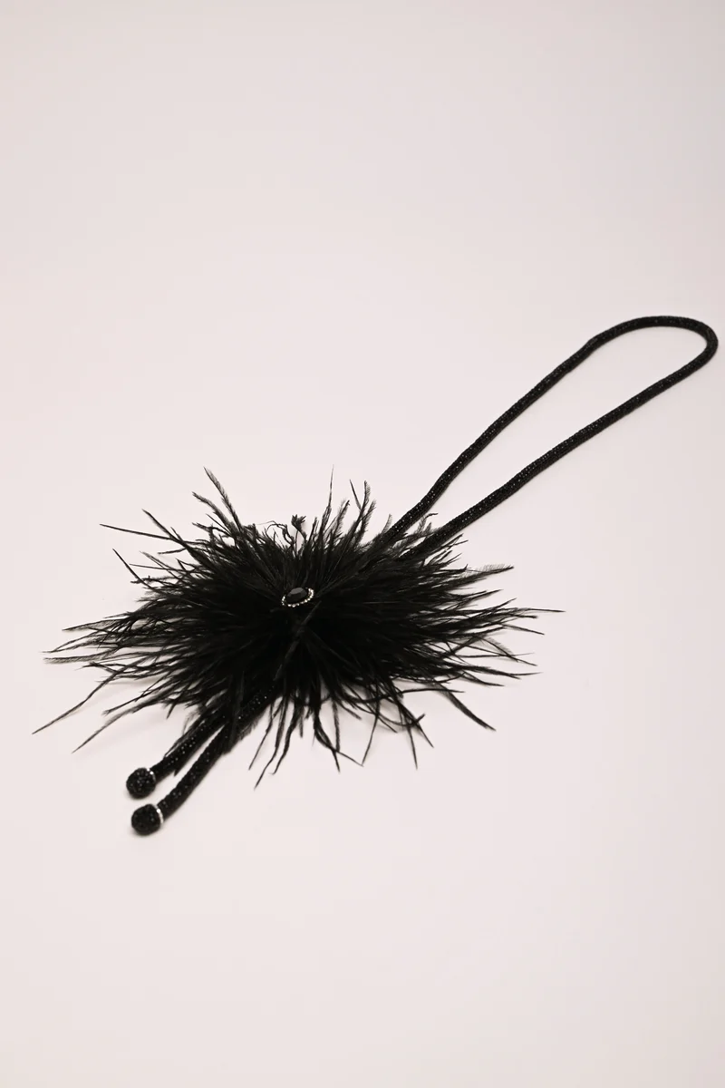 Collana lunga con piume