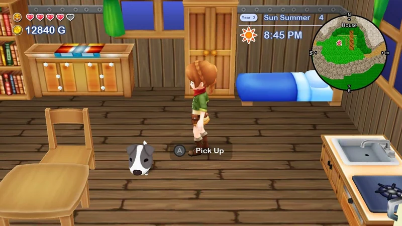 Nintendo Switch Harvest Moon The Lost Valley & Skytree Village