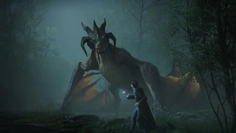 Hogwarts Legacy Playstation 4 Edizione Italiana