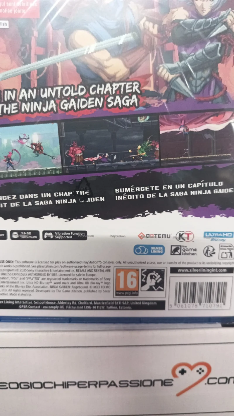 NINJA GAIDEN: Ragebound - Standard Edition Playstation 5