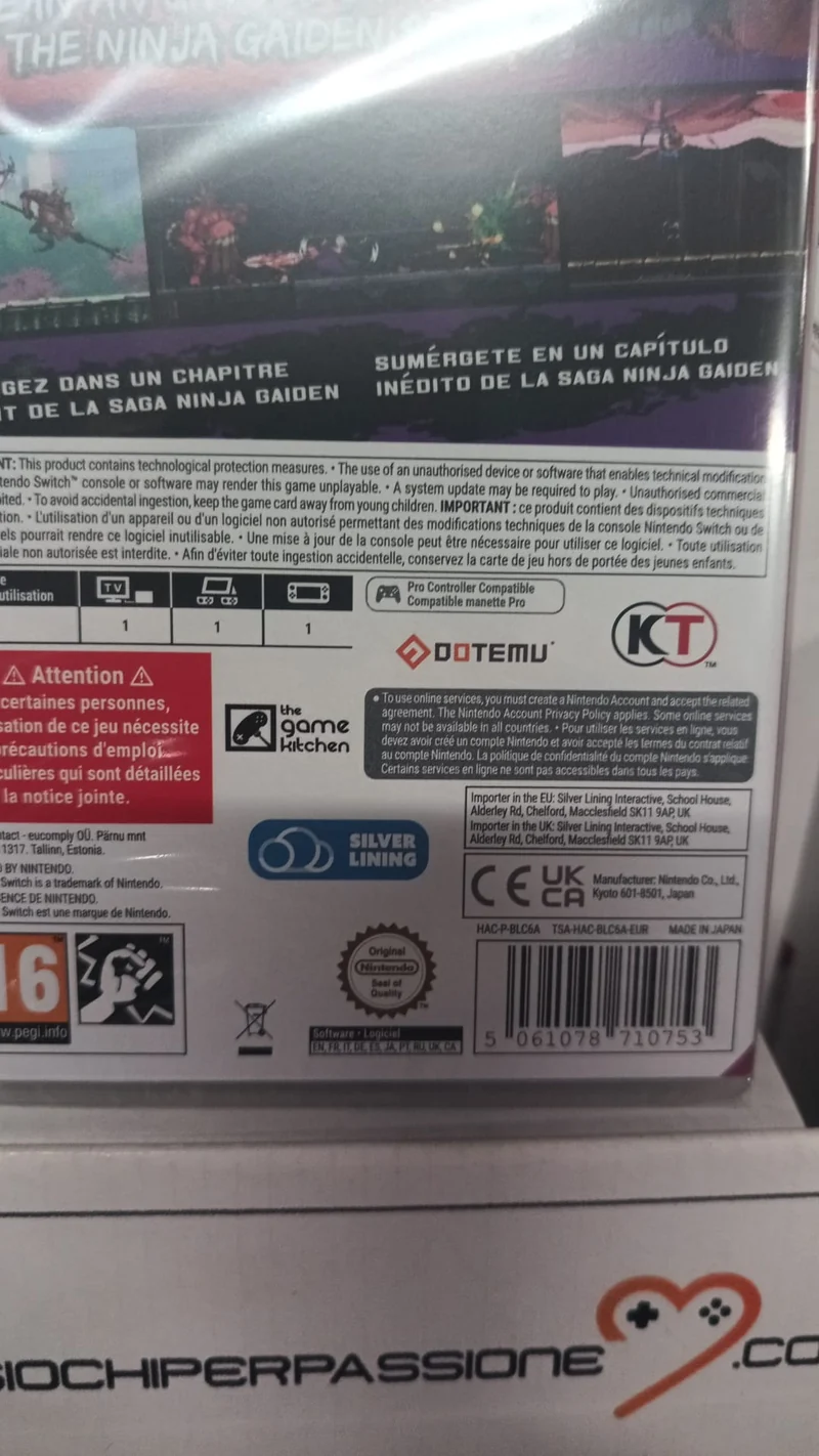 NINJA GAIDEN: Ragebound - Standard Edition Nintendo Switch