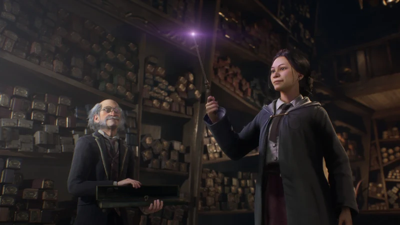 Nintendo Switch Hogwarts Legacy
