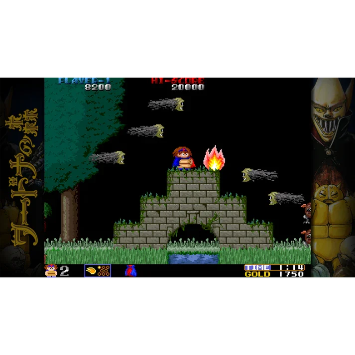 Toaplan Arcade Garage: Flying Fire Shark Playstation 4